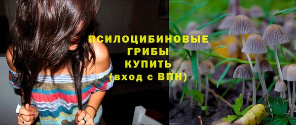MESCALINE Белокуриха