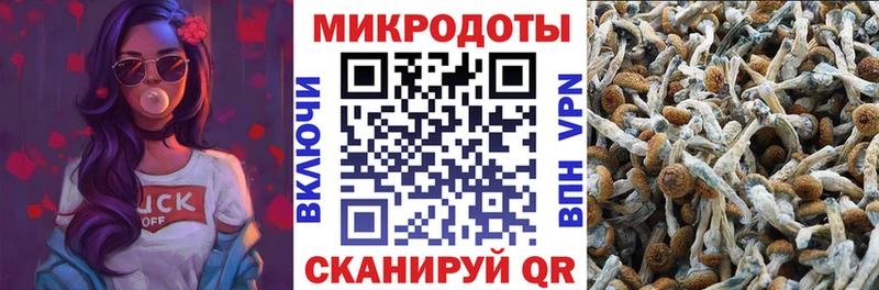 Псилоцибиновые грибы ЛСД  mega рабочий сайт  Завитинск  хочу  